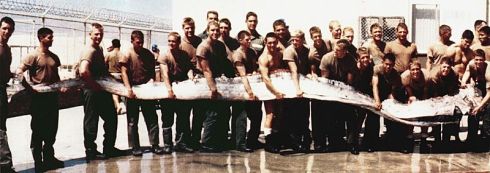 Il re d'aringhe pescato dai seals nel 1996