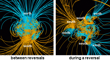 Linee di campo magnetico solare prima e durante l'inversione dei poli
